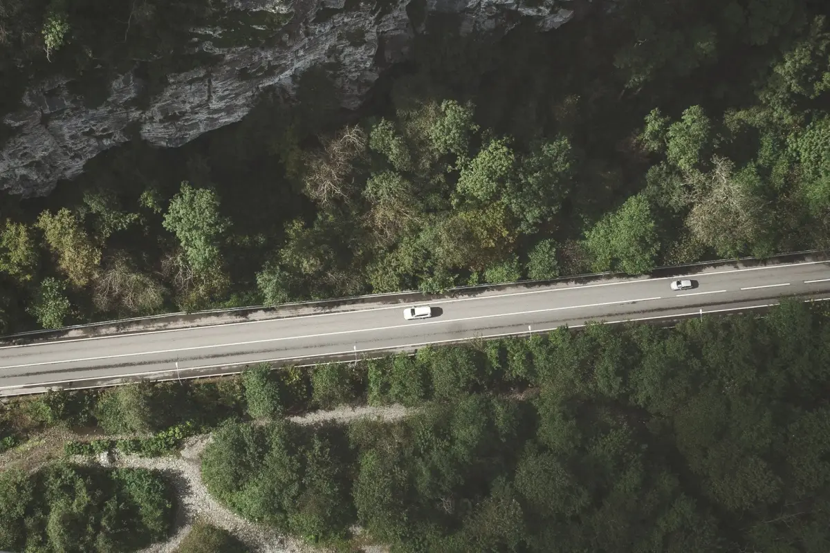 zwei Autos auf Straße durch grüne Natur