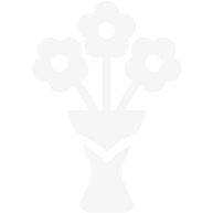 Icono de un auto referente al servicio de valet parking
