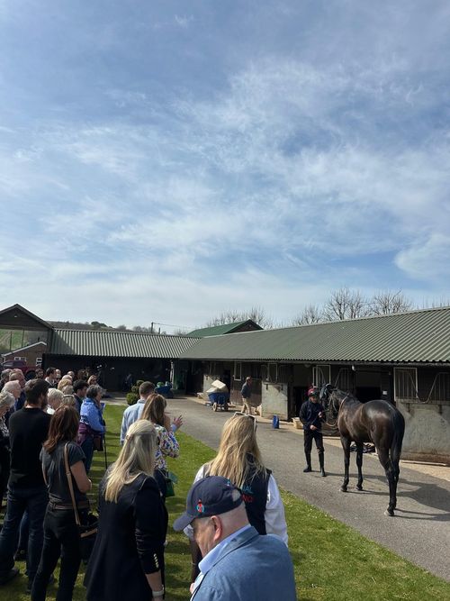 Syndicate day, gallops, lunch