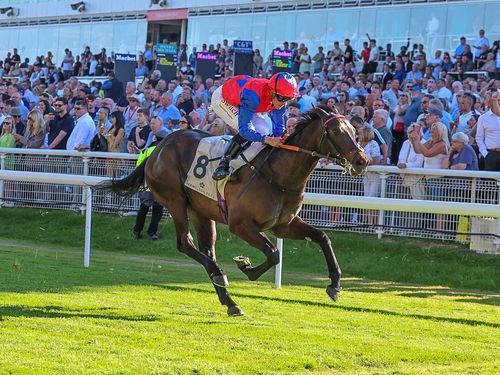 Koltkata Knight horse Hamilton impressive wins