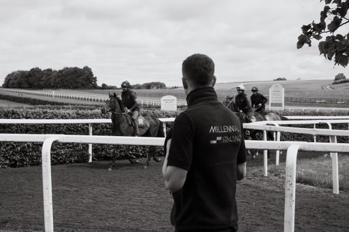 yearlings syndicate shares racehorse calyx nando parrado