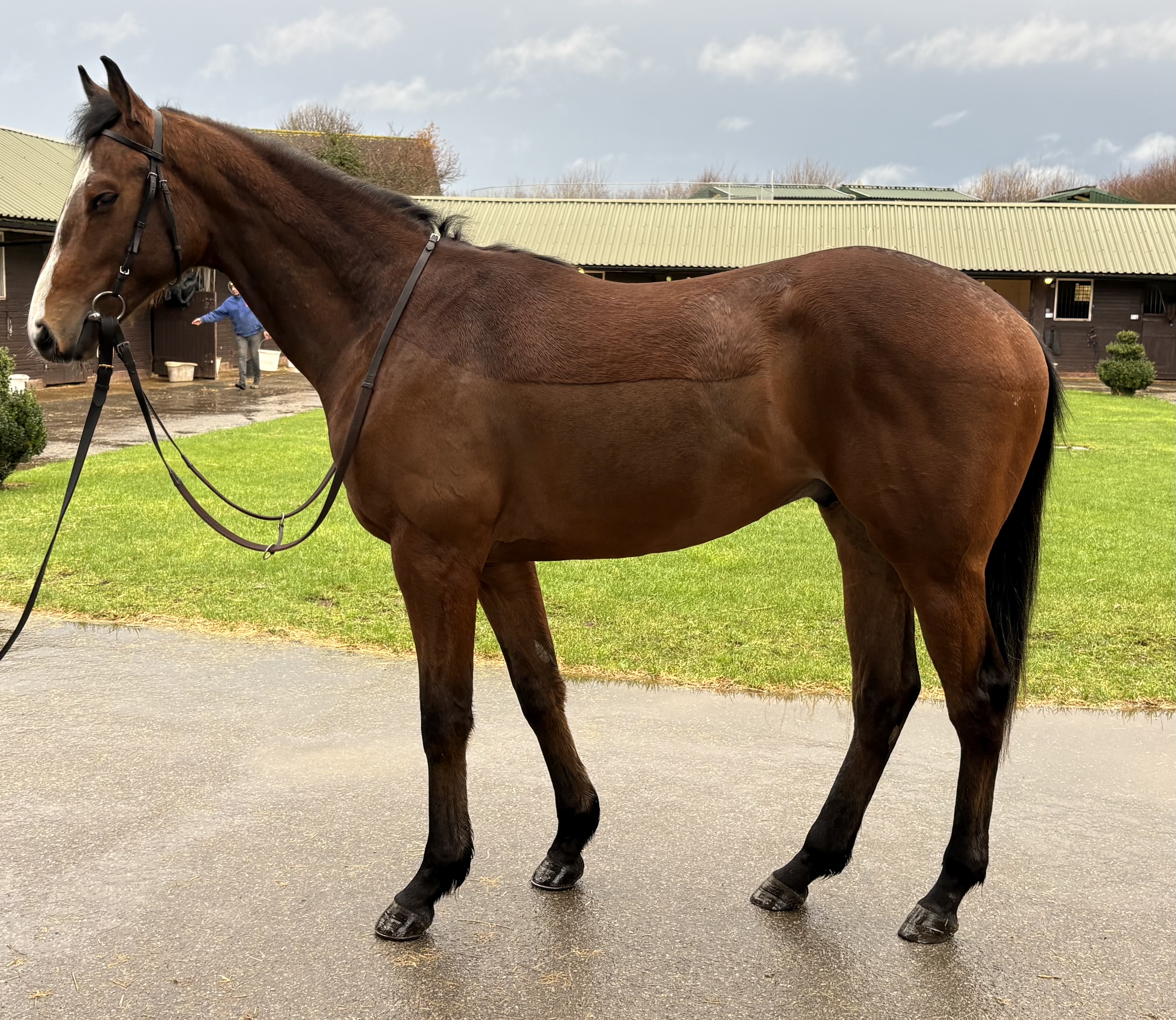Nando Parrado Racehorse Syndicate Shares
