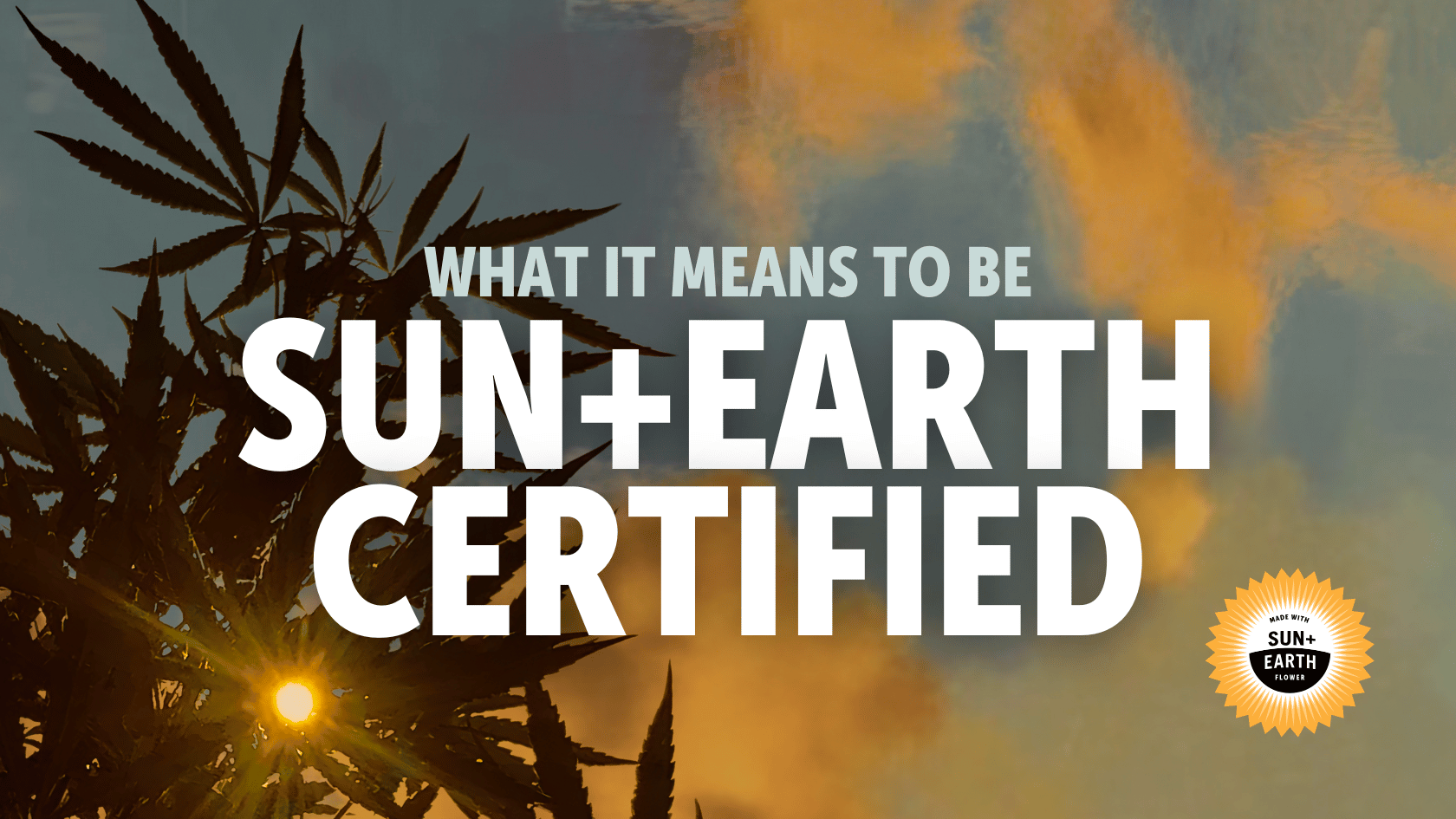A graphic showing sun+earth certified regenerative organic cannabis 