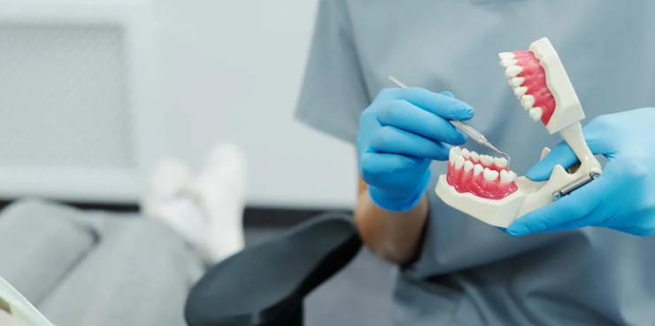 Pexels Photo Three - Dentistry X Webflow Template