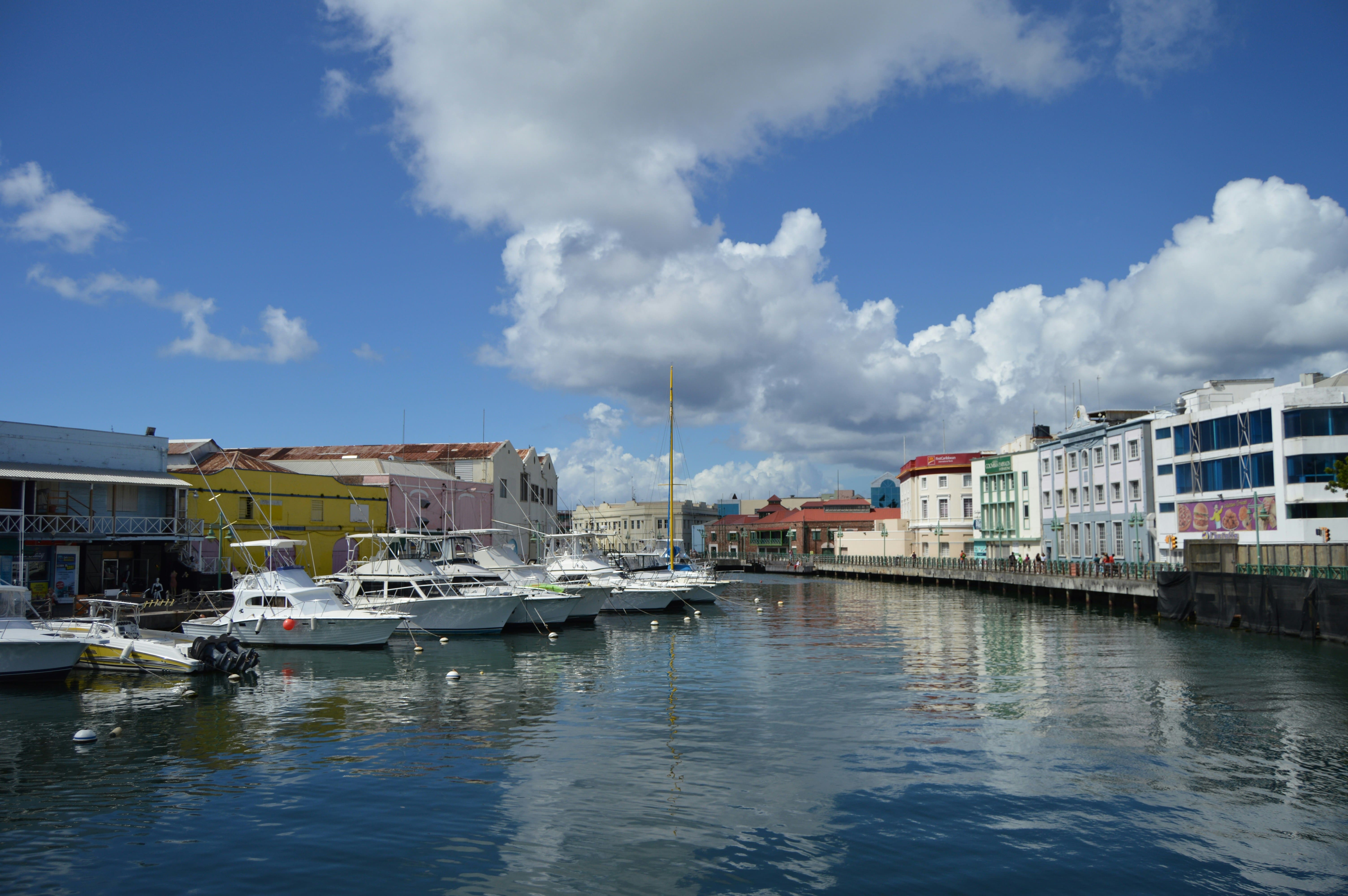 harbour area with boats