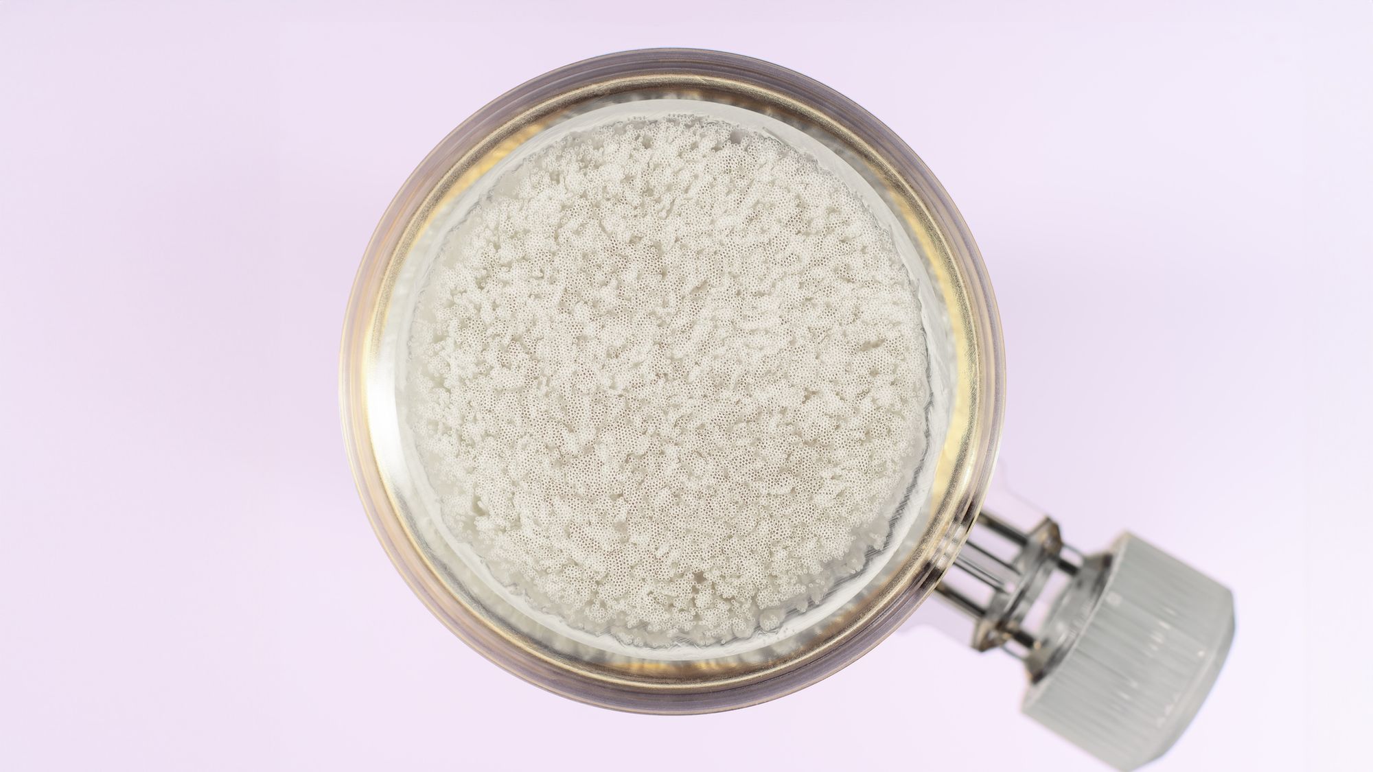 Blood Plasma Filter Technology | Inuspheresis®