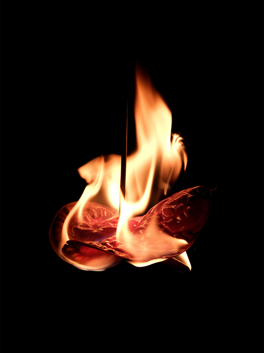 Burning flower surrounded by vivid flames in a minimalist fine art photograph by Patrick Pankalla.