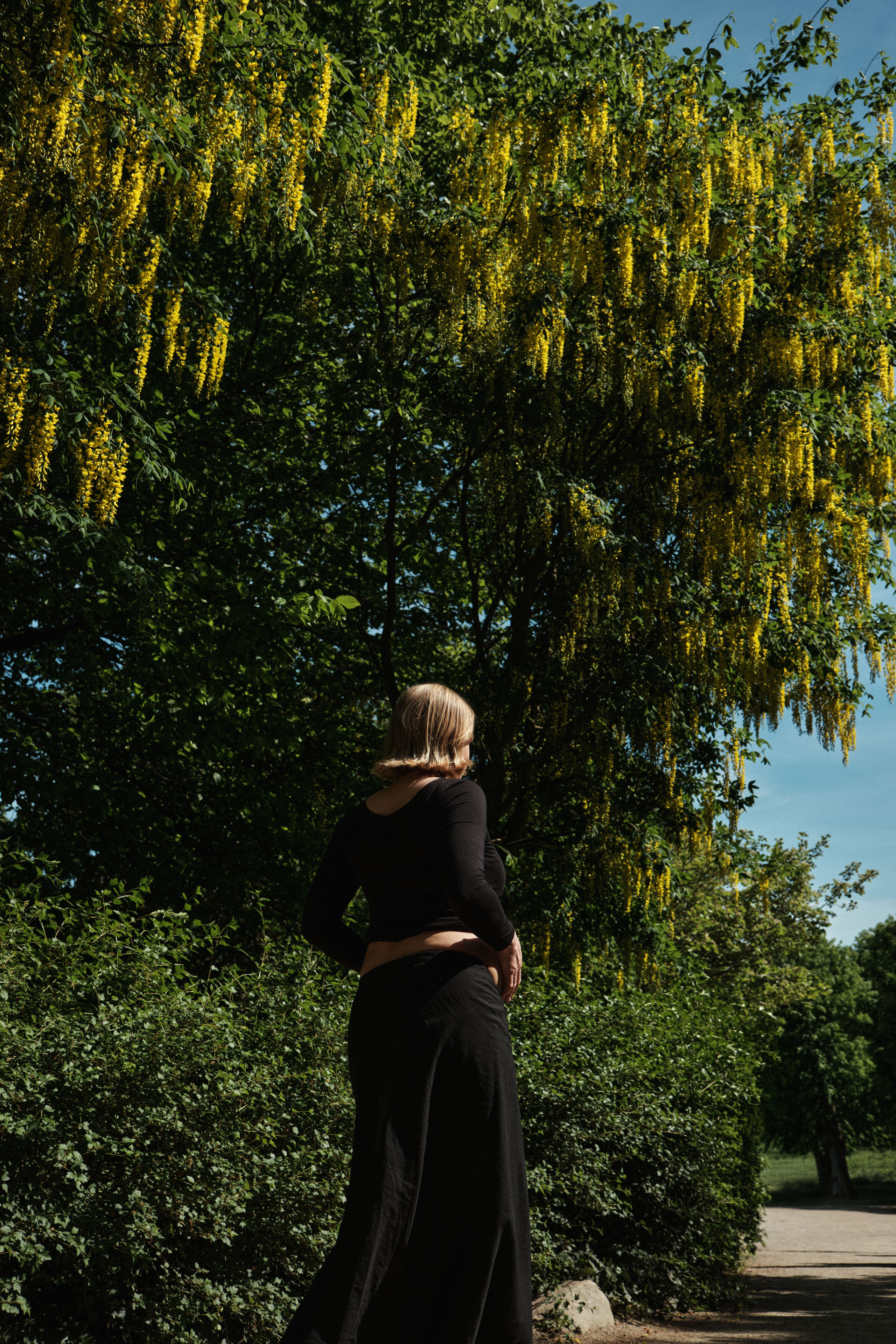     Maternity portrait of Jana Katrín standing beneath yellow flowering trees in a lush Copenhagen garden.