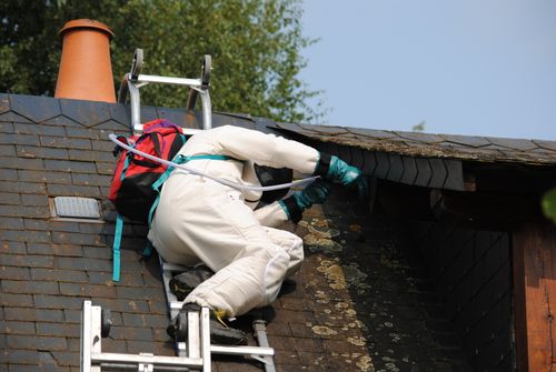 Un employé d'antifrelons76 ayant pris au piège une partie d'un nid de frelons avec des frelons accrochés dessus