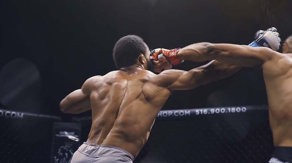 FightLyfe