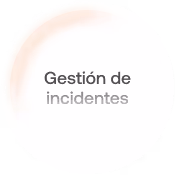 Incident Management Administración de incidentes