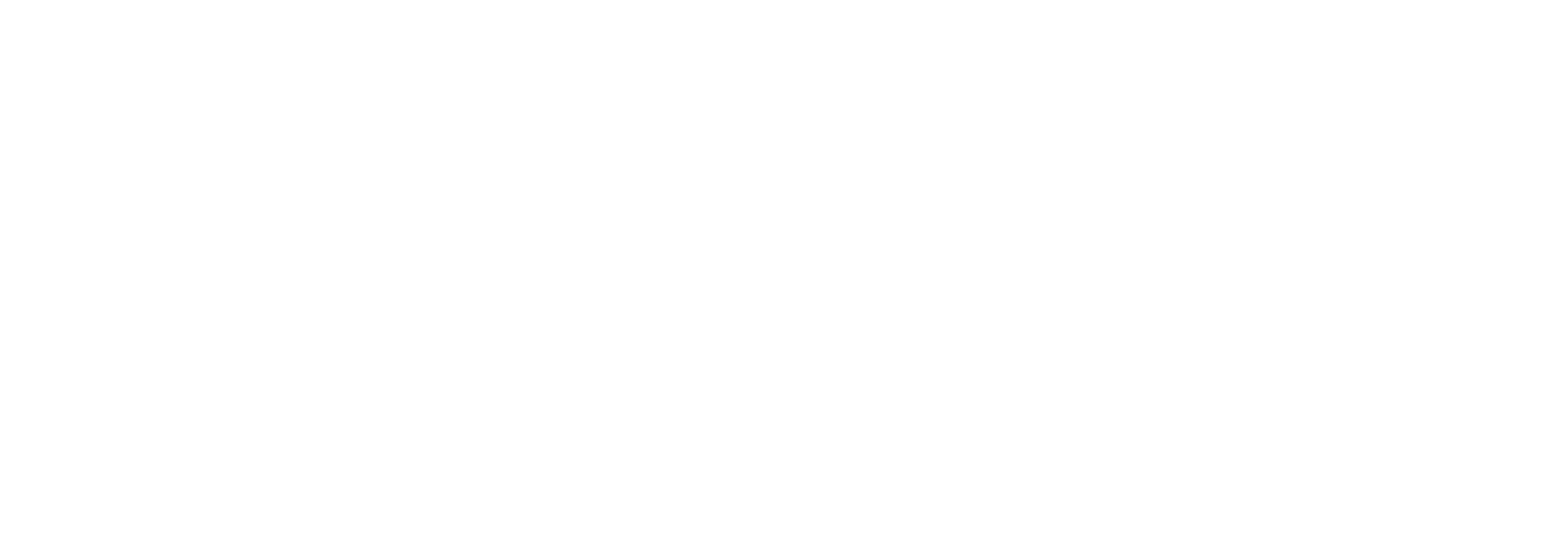 Logo Vision People