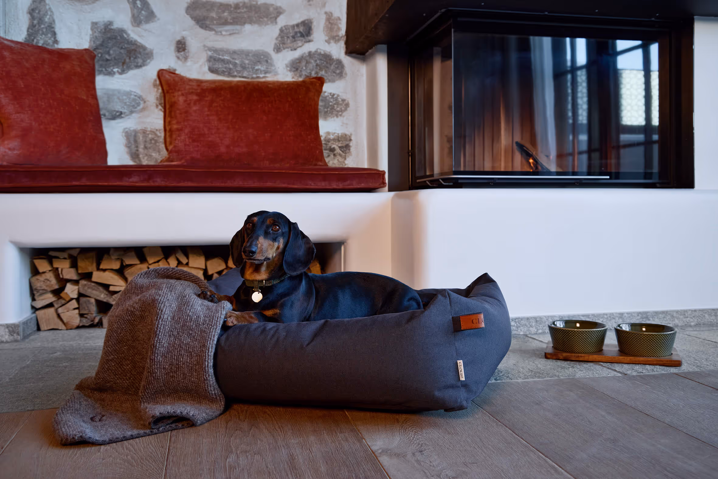 Dackel auf einem dunklen Hundebett mit einer gestrickten Decke in einem gemütlichen Wohnzimmer neben einem Kamin.