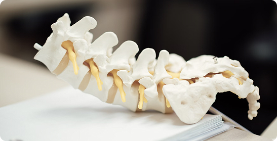 Medical Evaluation and Management