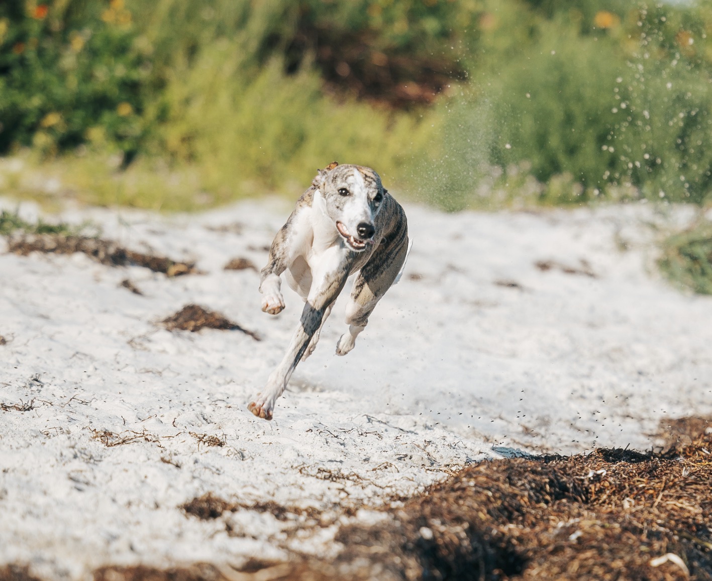 __wf_reserved_inherit