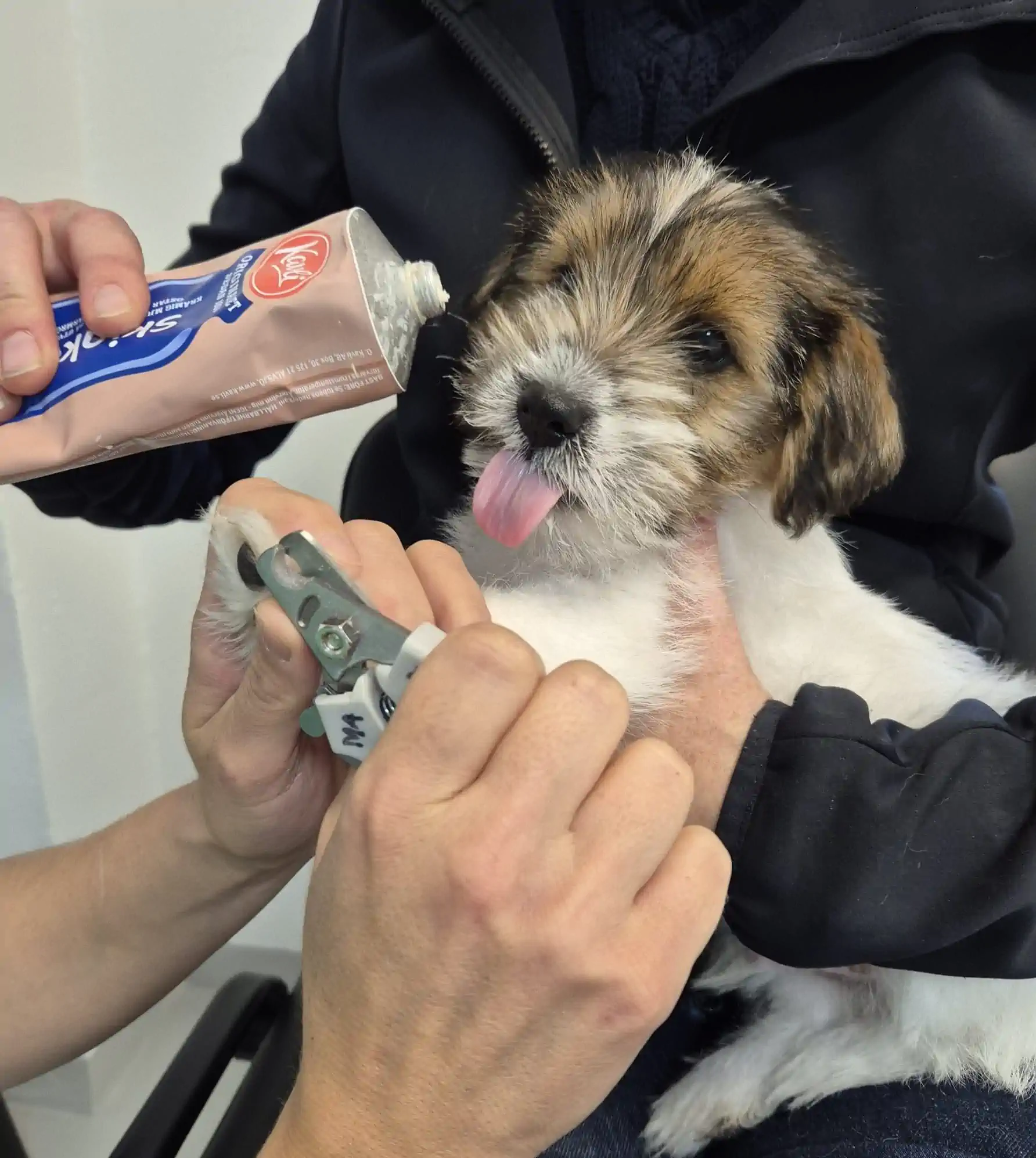 __wf_reserved_inherit