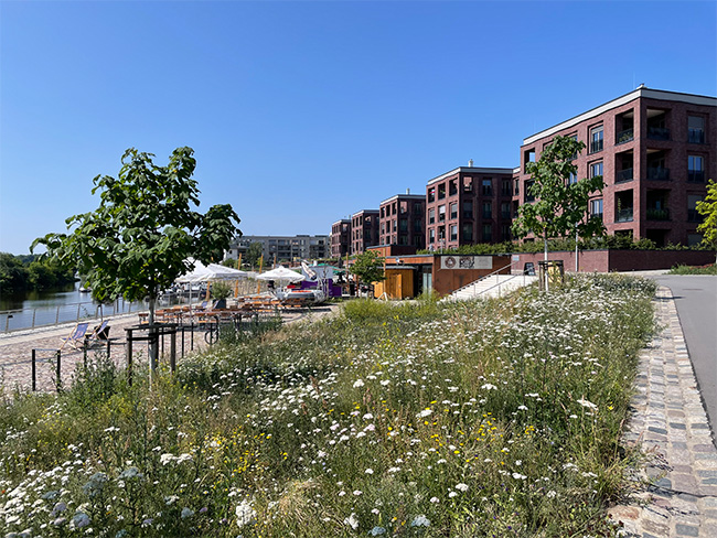 Quartier Hafencity Dresden