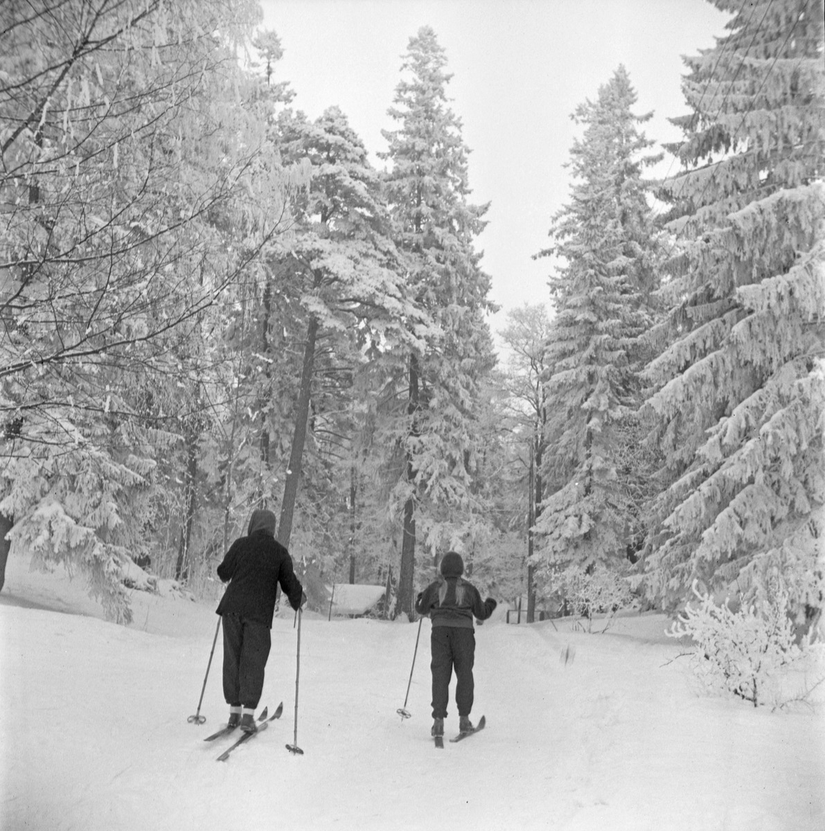 Art, Research, Responsibility