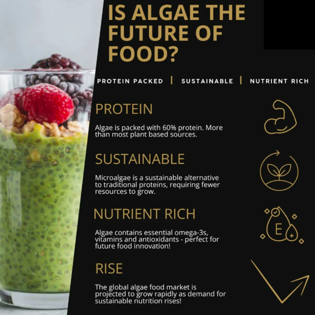 Is algae the future of food?