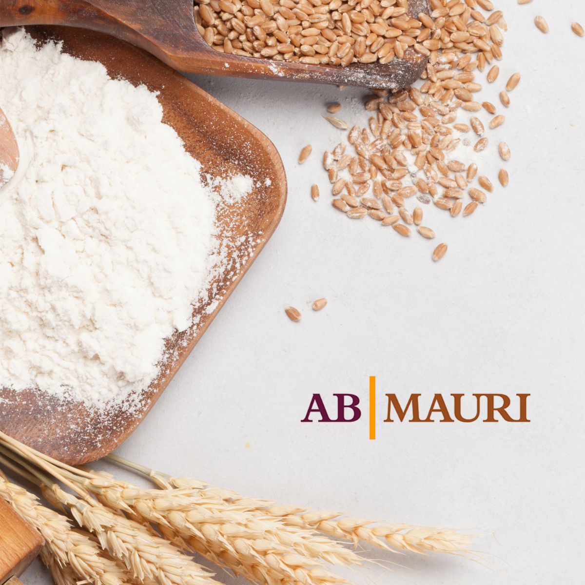 QLM Search works in partnership with AB Mauri to appoint a Global Business Director