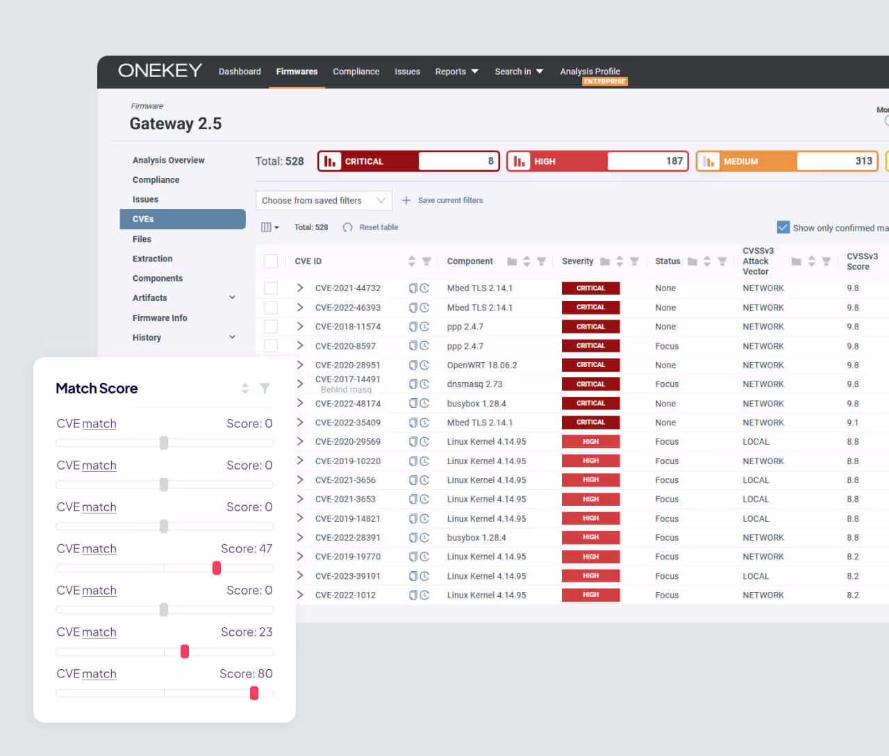 Binary-Level Vulnerability Detection