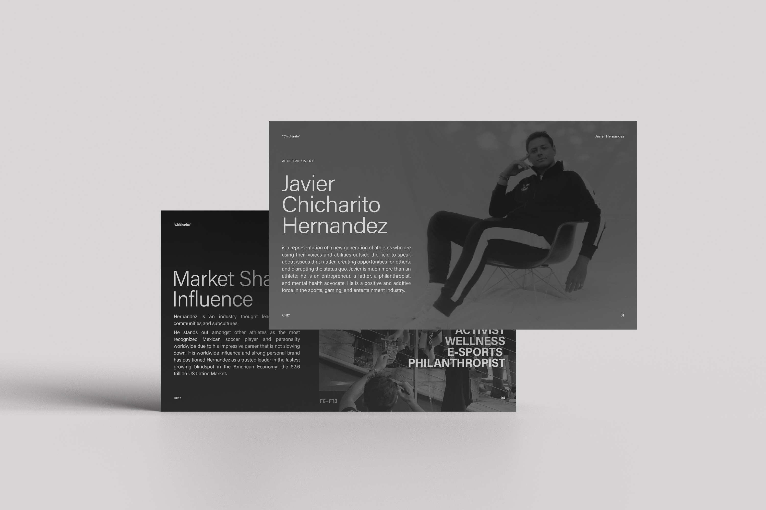 Project Image 1