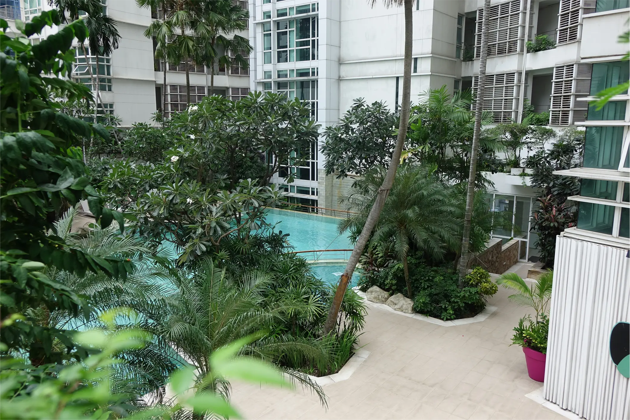 Resort-style pool area with tropical plants and modern buildings.