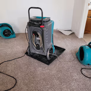 commercial dehumidifier for mold damage