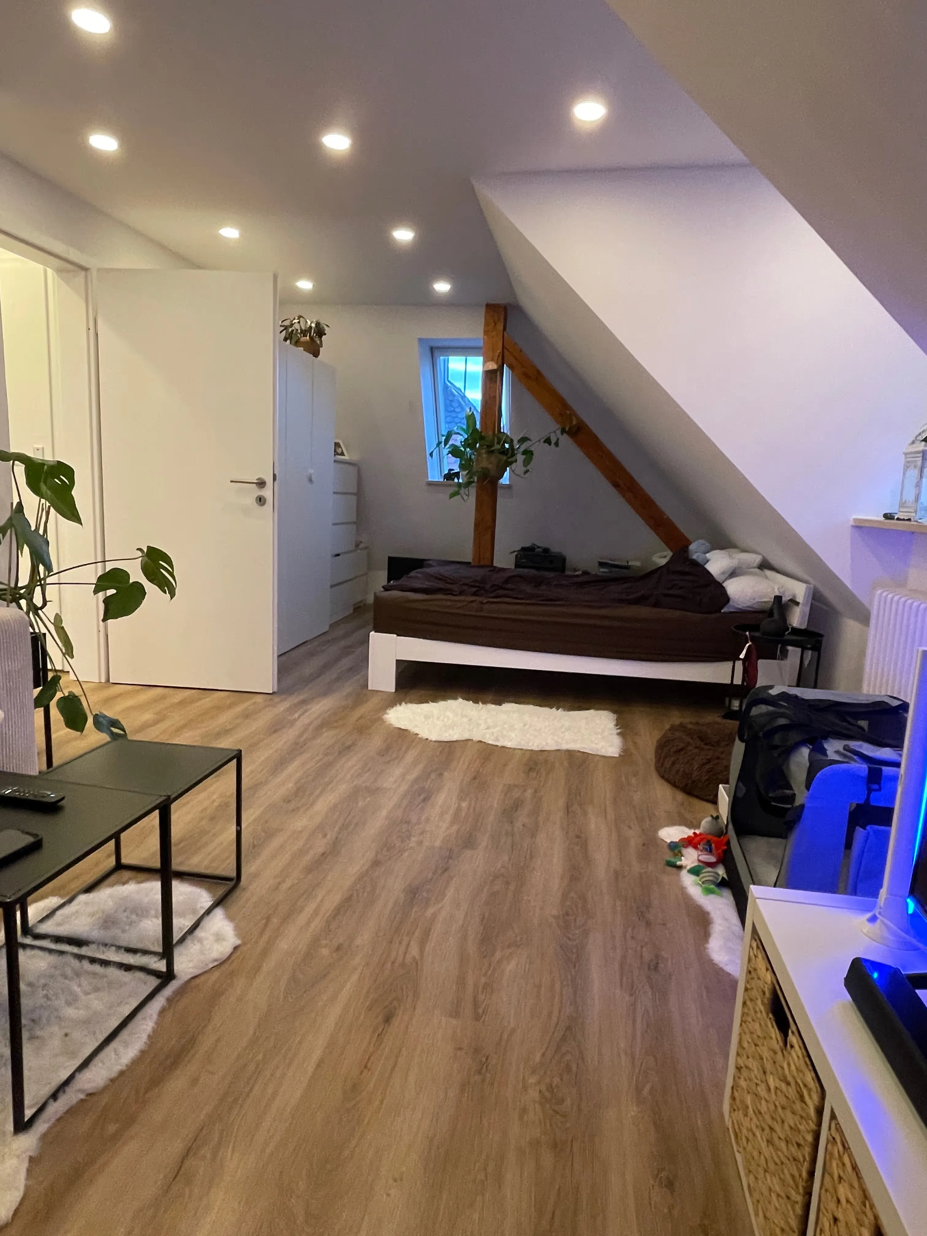 Gemütliches Schlafzimmer mit Dachschräge, Holzfußboden, einem Einzelbett mit brauner Bettwäsche und Topfpflanzen.