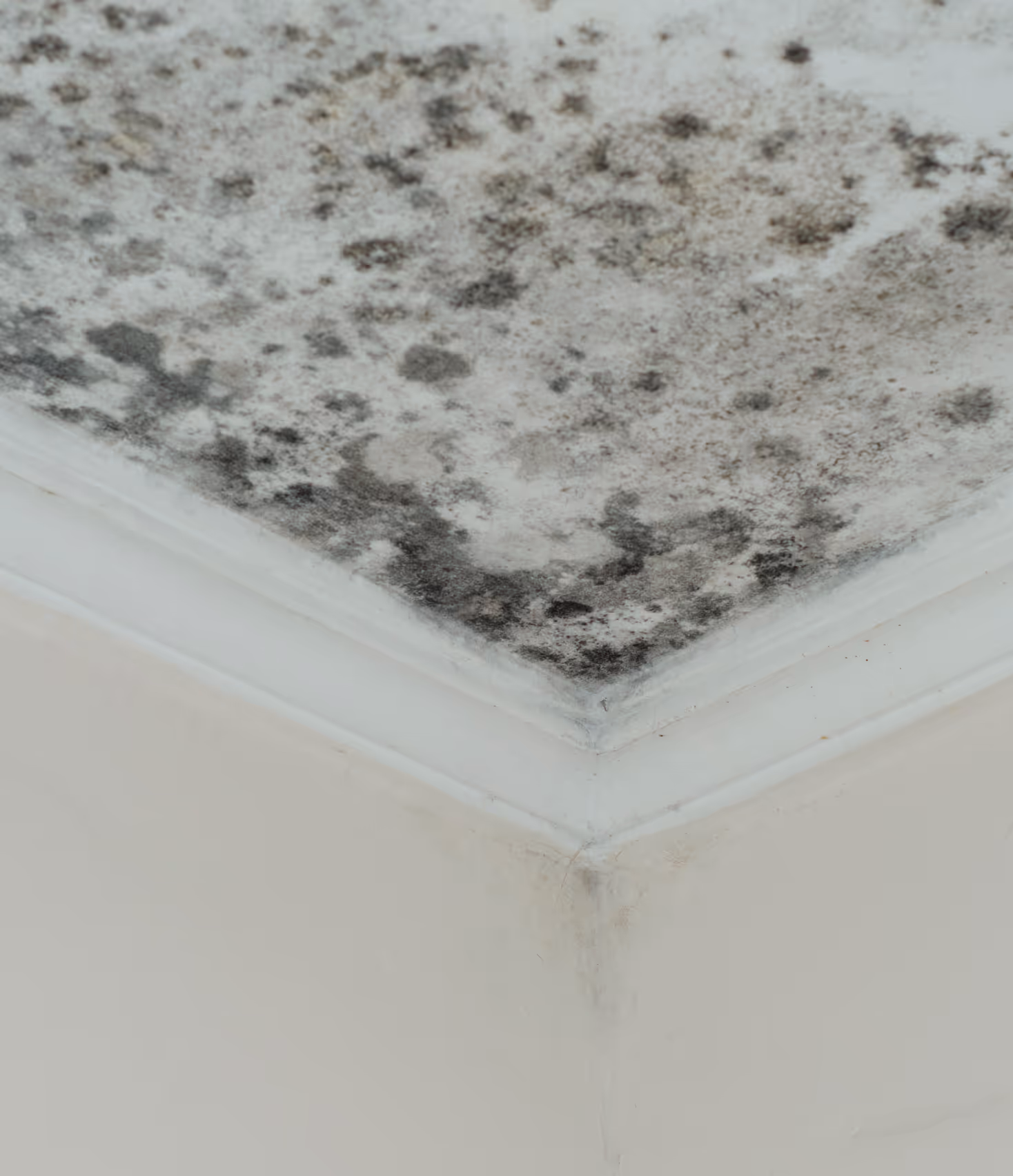 Mein Weg zur Traumhaussanierung