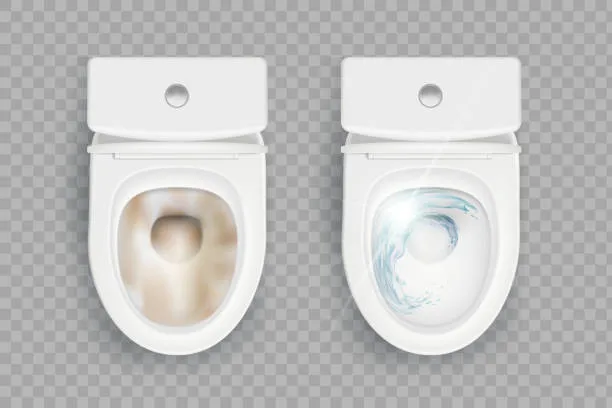 Dusche und WC sanieren: Optionen, Ablauf, Stolperfallen