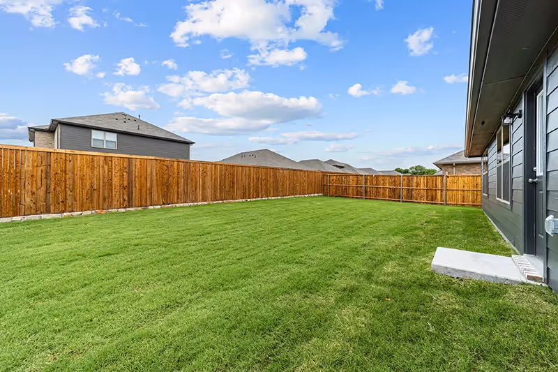 Green grass blue sky backyard with door backdoor to house