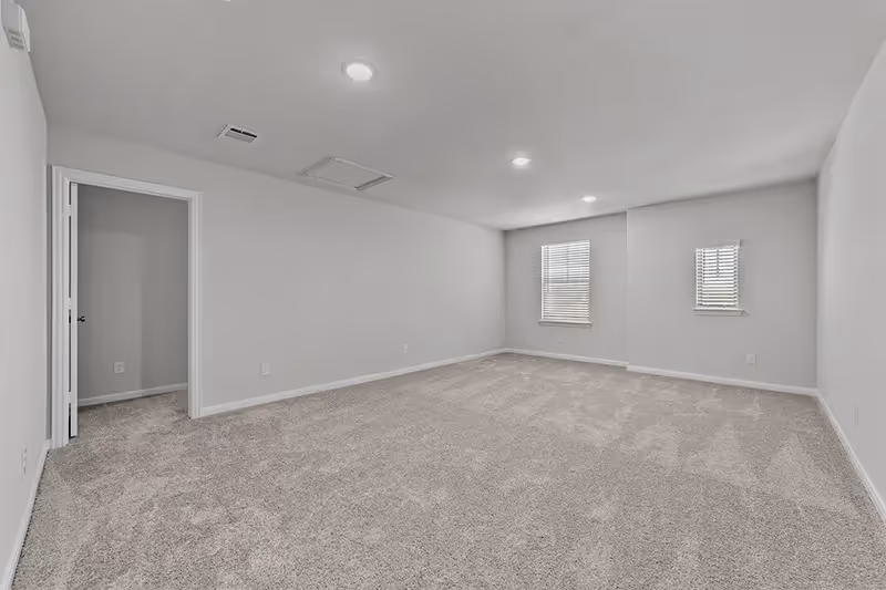 media room with carpet