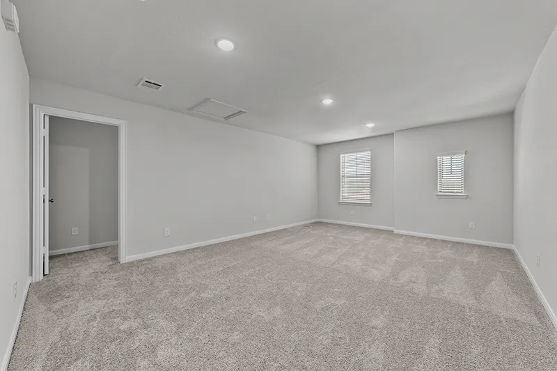 media room with carpet