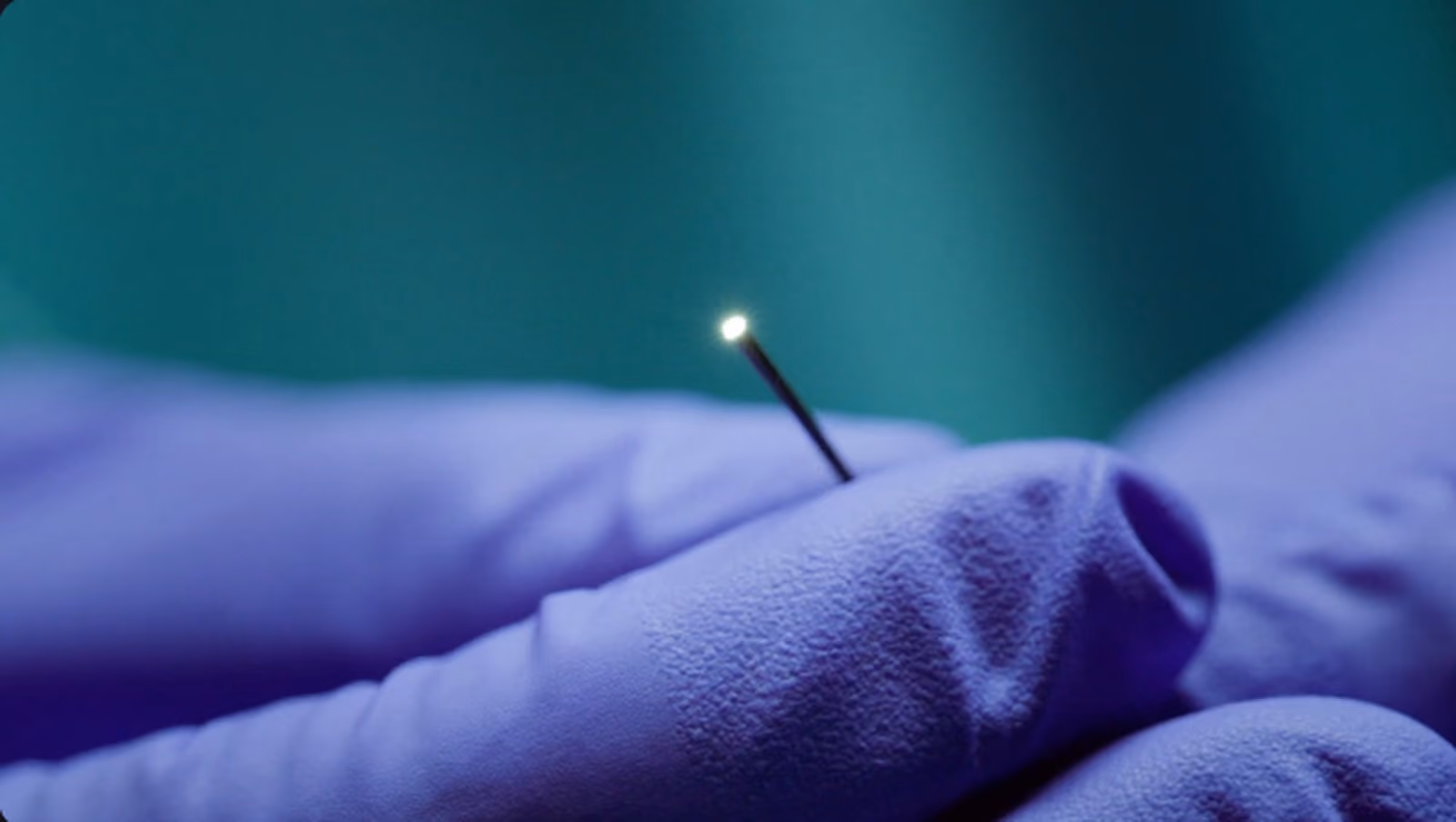 Vena MicroAngioscope System™