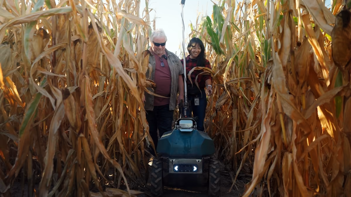 Two people walk through a cornfield alongside a small autonomous agricultural robot, inspecting crops between tall rows of dried corn stalks