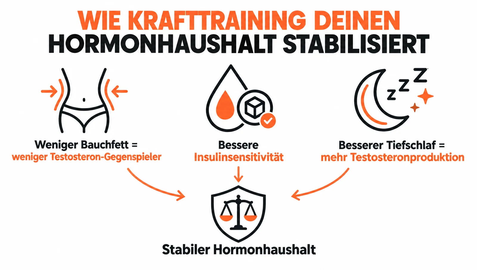 Infografik: Die 3 Wege, wie Krafttraining den Hormonhaushalt stabilisiert
