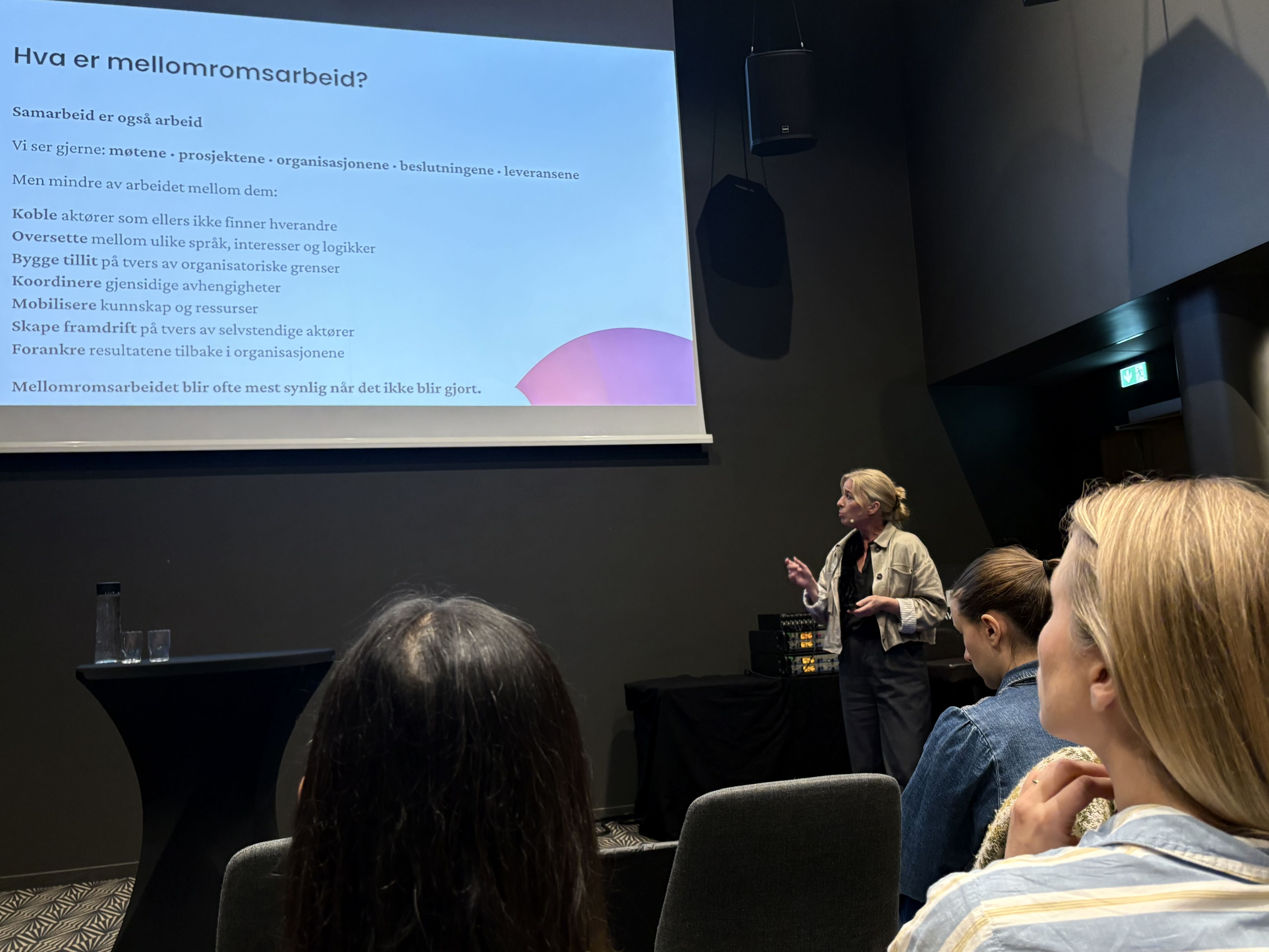 Fra foredrag til kurs: Cathrine om samarbeid på tvers
