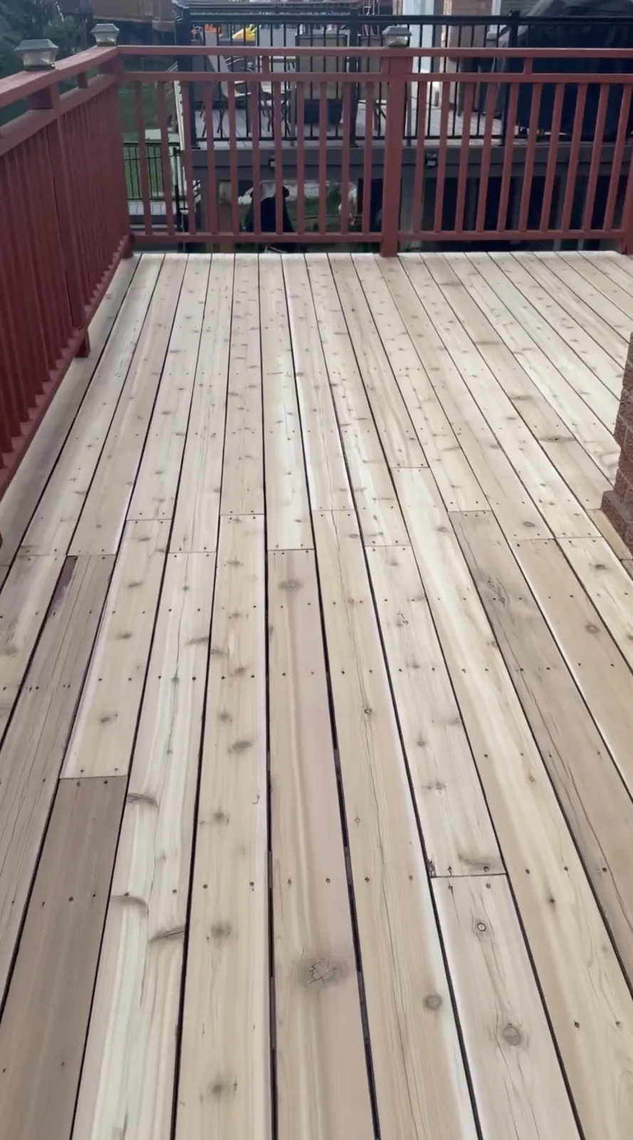 Brampton Deck Restoration: Failing Solid Stain Removed, Cedar Deck Sanded and Refinished with Oil-Based Stain