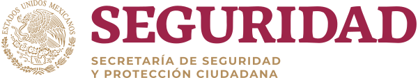 Seguridad Pública