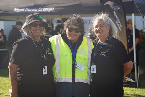 Te Pae Oranga Panels