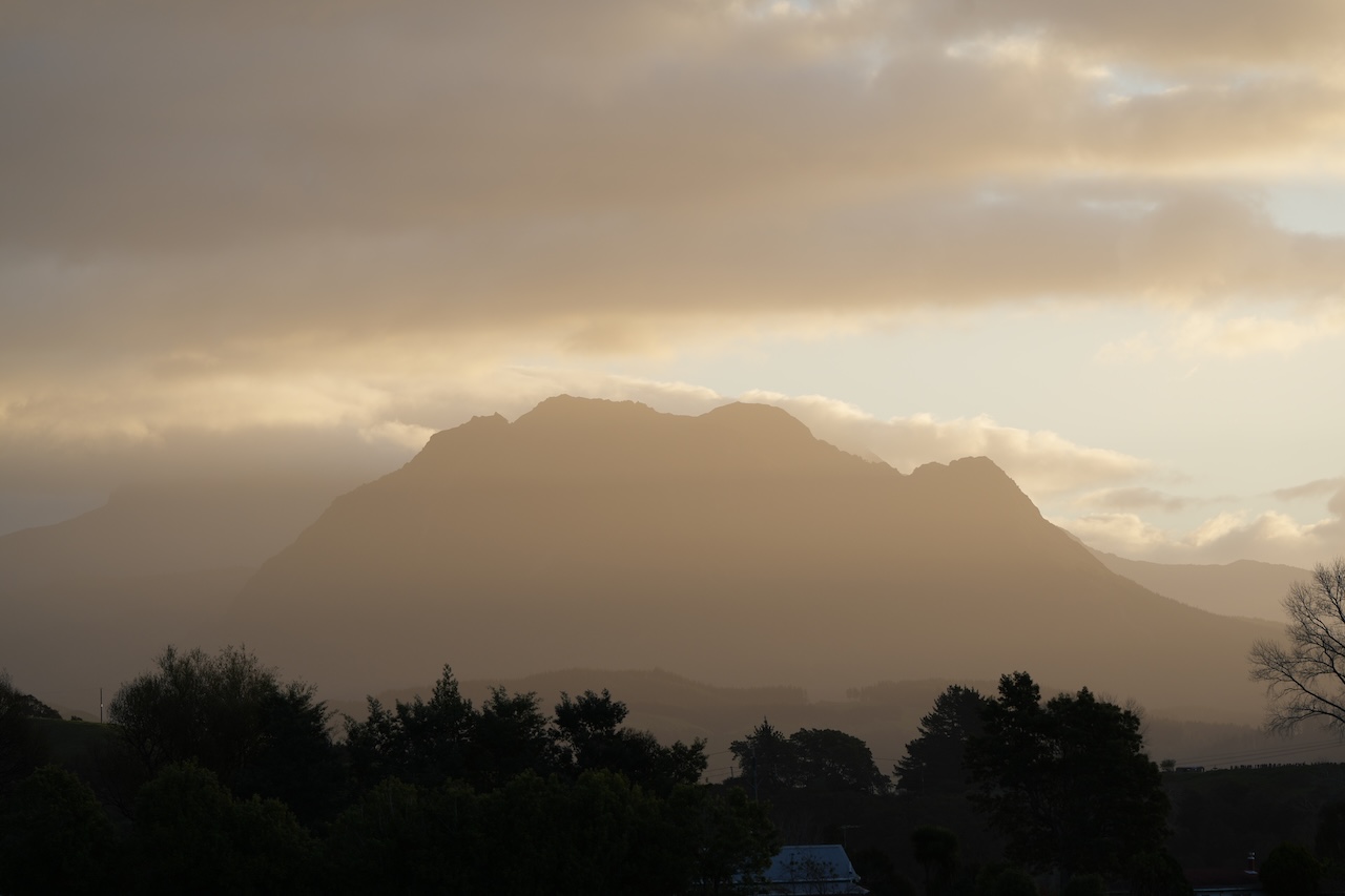 Tiaki Tīpuna