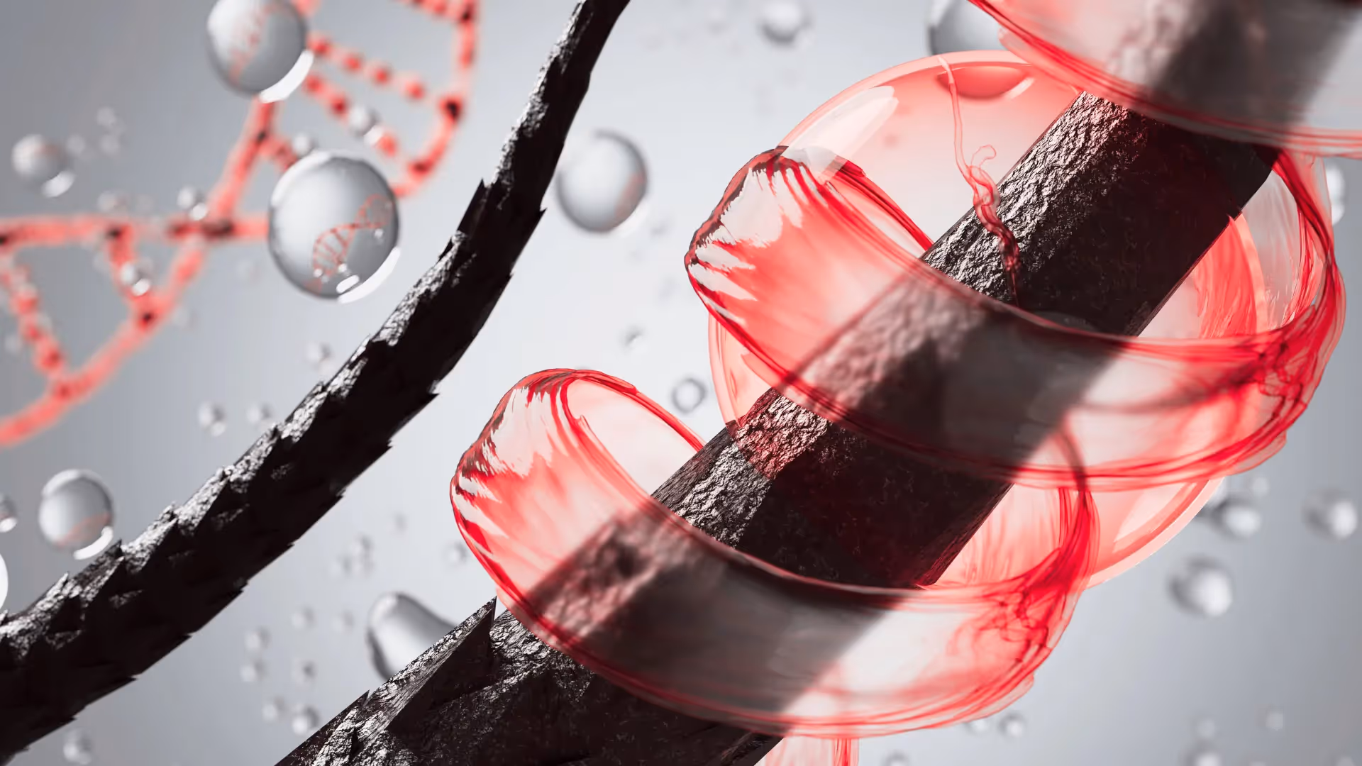 Hair Transplant Cyprus: Advanced Hair Analysis of Donor and Recipient Areas.