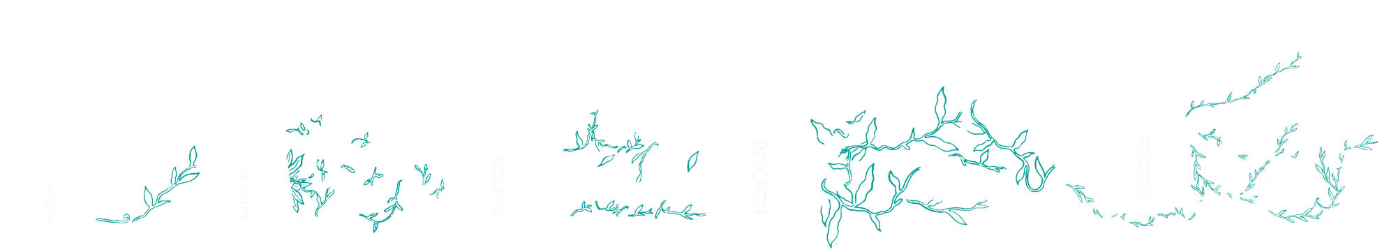 box animation graphics image