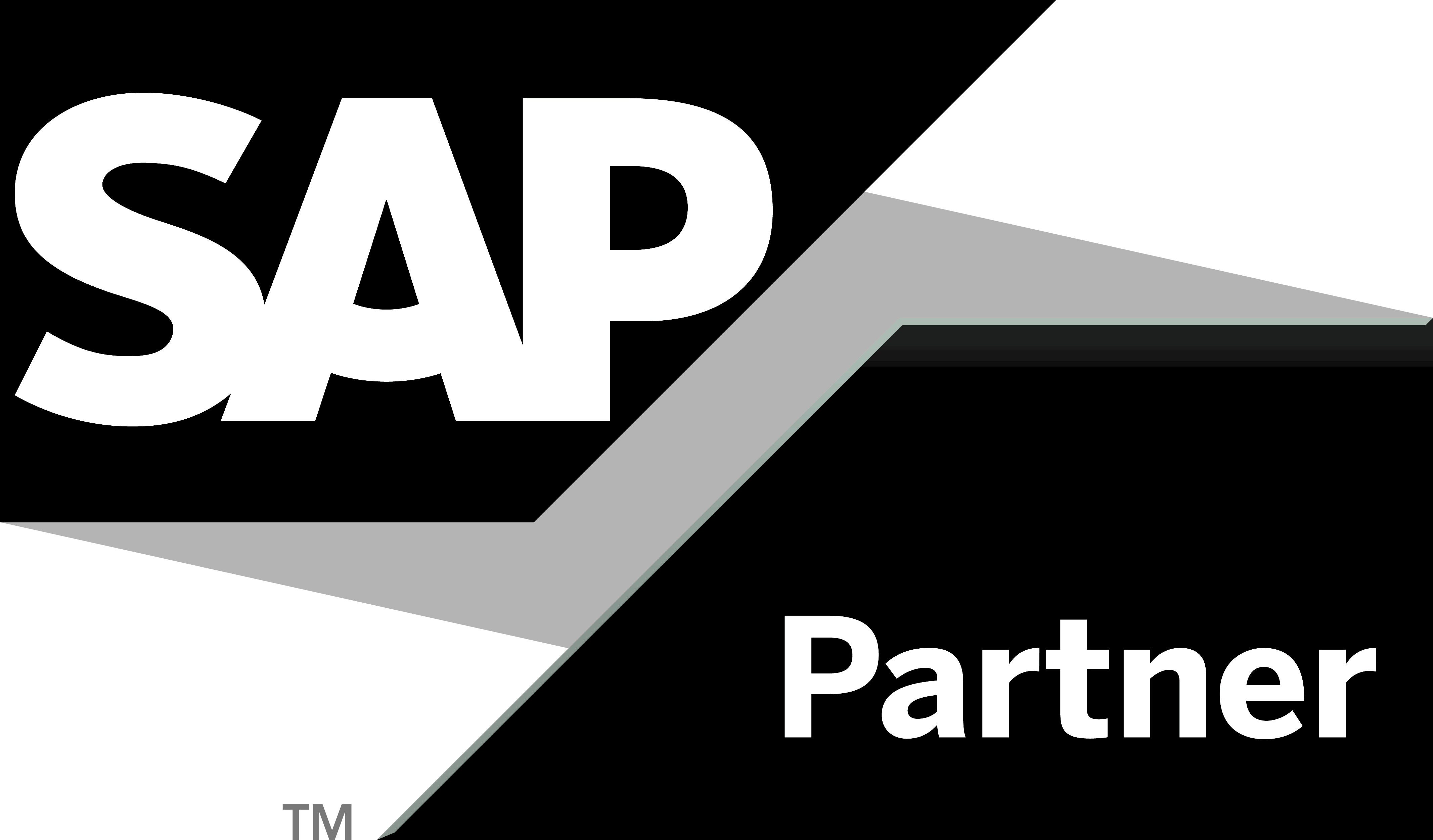 SAP-Partner