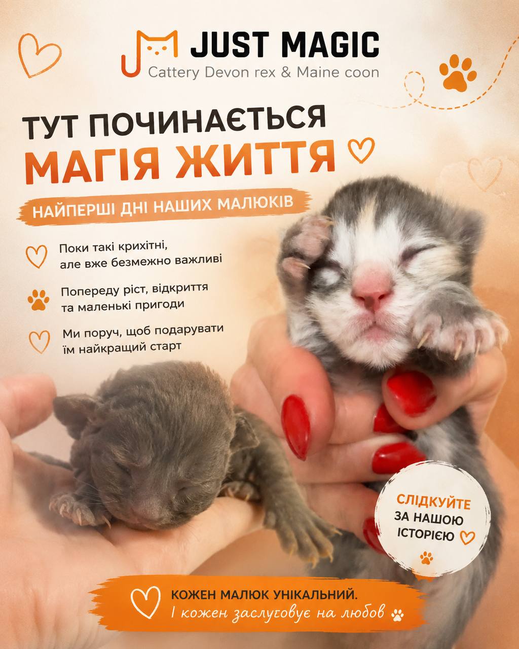 Photo from blog page