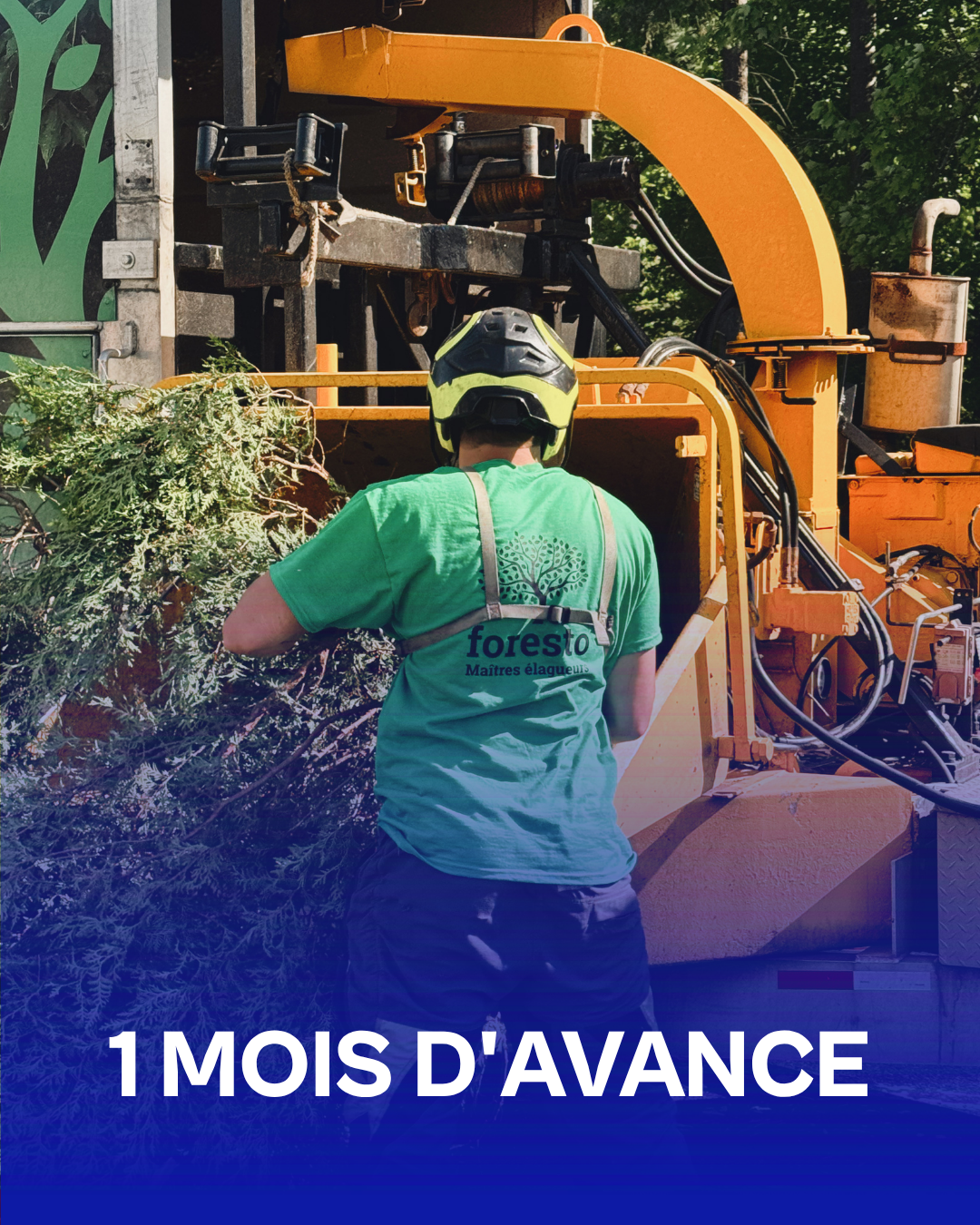 Un carnet de commandes bien rempli pour Foresto