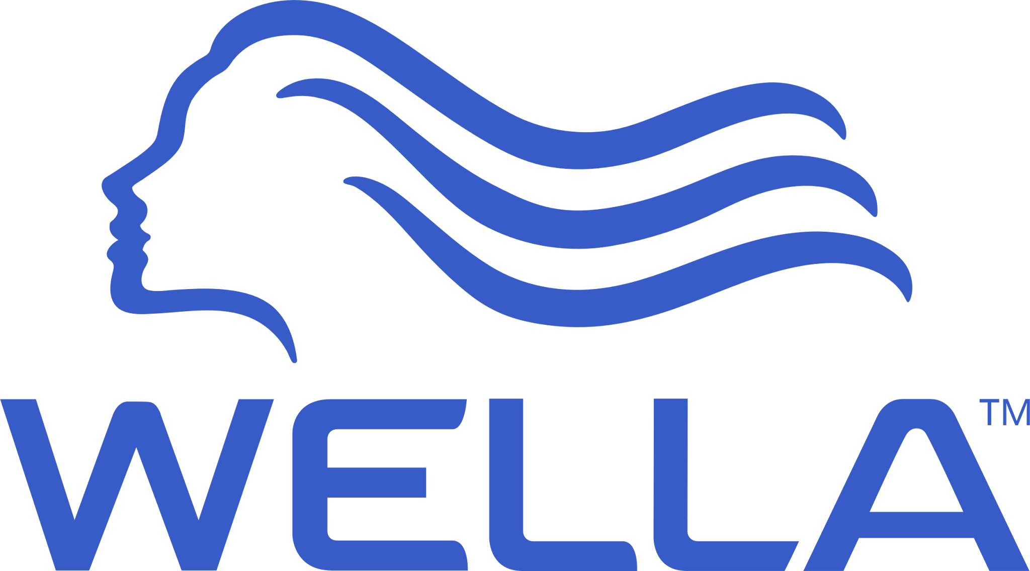 Wella - two+more client