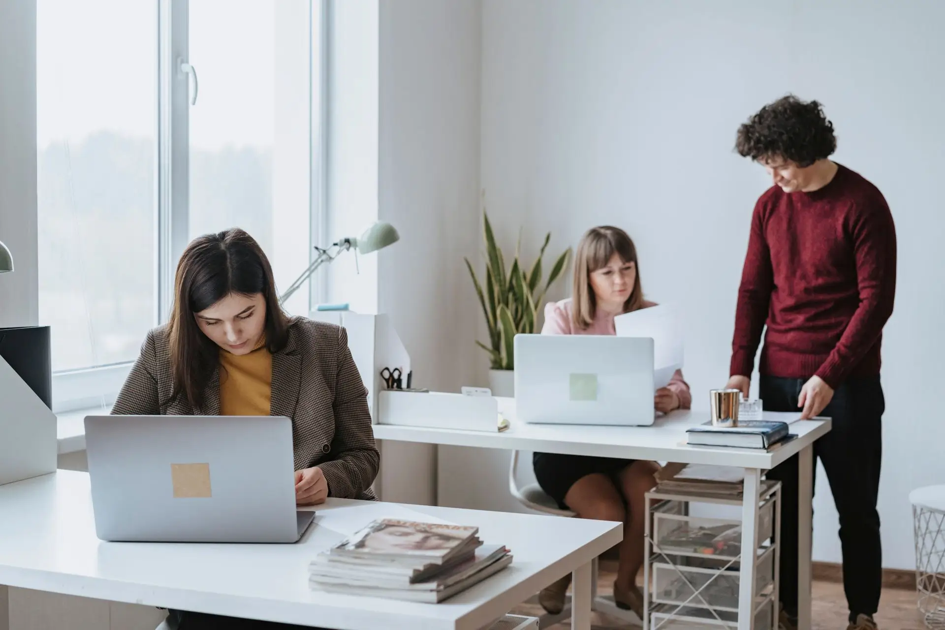 team working in the office