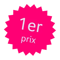 Pink starburst badge with white text reading '1er prix'.